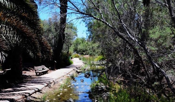 El Parque Tony Gallardo tendr� como cierre perimetral una barrera natural