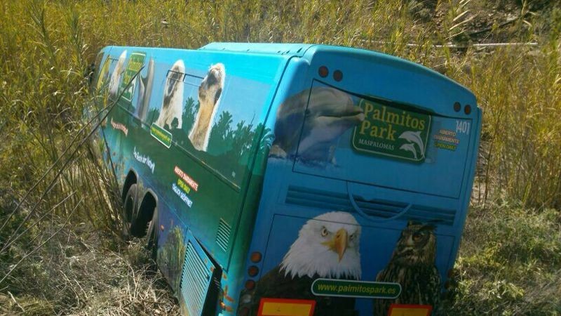 Cae un Salcai por el barranco  de Palmitos Park