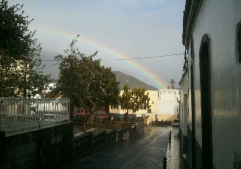 Tunte suspende las Fiestas del Almendro en Flor por motivos meteorol�gicos