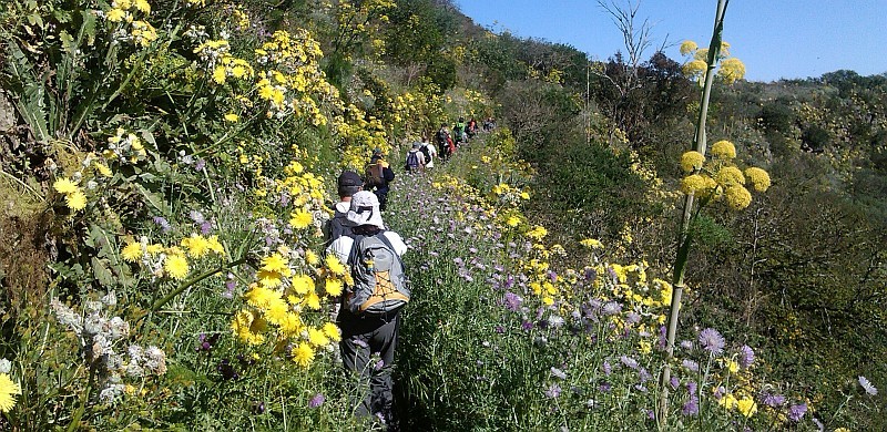 Maspalomas a la cabeza del senderismo en la Isla