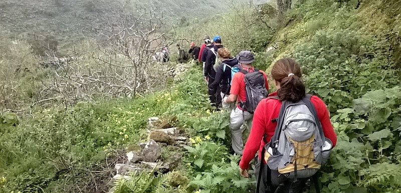 Tunte reedita la caminata de los almendreros y la ruta de tapas 
