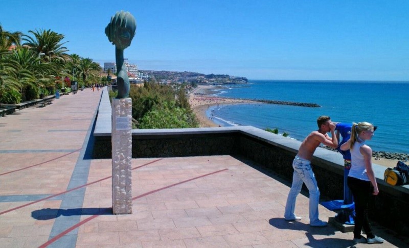 El Consejo Sectorial de Turismo de Maspalomas  ya tiene sus estatutos