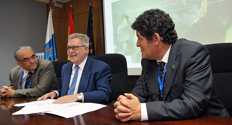 Bravo de Laguna inaugura la reuni�n de expertos en plataformas e�licas flotantes