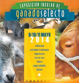Ag�imes tendr� stand propio en la Exposici�n Insular de Ganado Selecto 2014