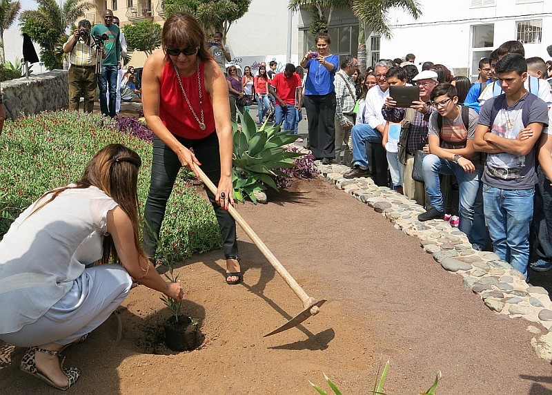 El Centro de Migraciones de Vecindario cumple 20 a�os 