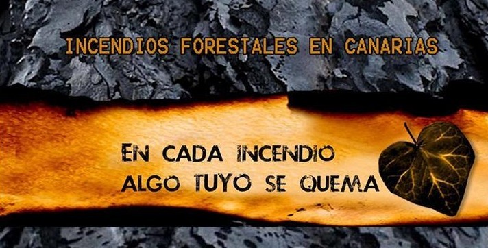 Temisas acoge la proyecci�n del documental  �En cada incendio algo tuyo se quema�