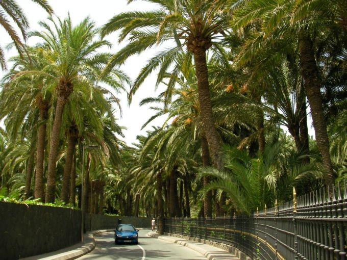 Riu niega que su hotel invada una zona verde p�blica en el Oasis