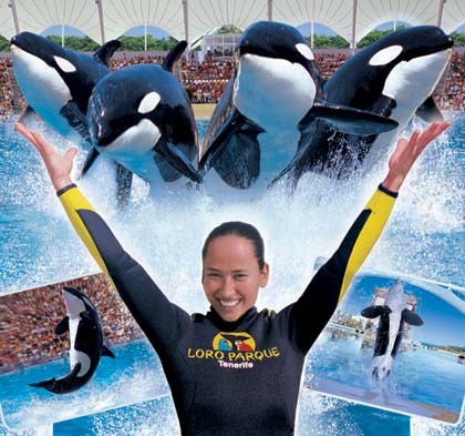 Loro Parque, tercer mejor zool�gico del mundo y el primero de Europa