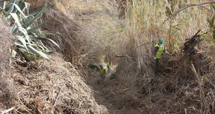 Tunte rehabilita sus caminos reales