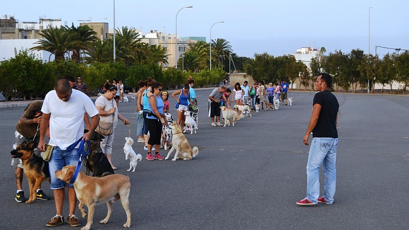 Ag�imes apuesta por los �Ciudadanos caninos ejemplares�