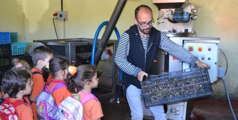 Alumnos del CEIP Be�esm�n visitan la Almazara �Caser�o de Temisas� 