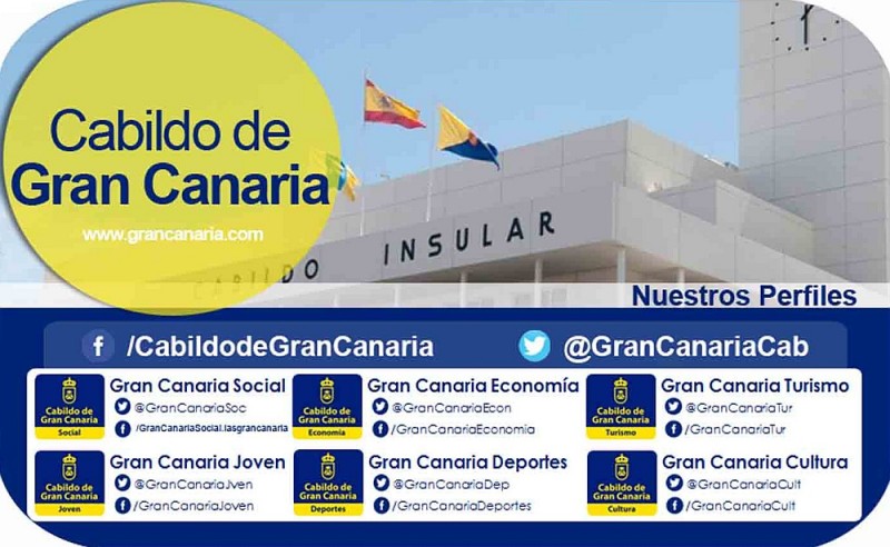 El Cabildo impulsa seis perfiles tem�ticos en las redes sociales