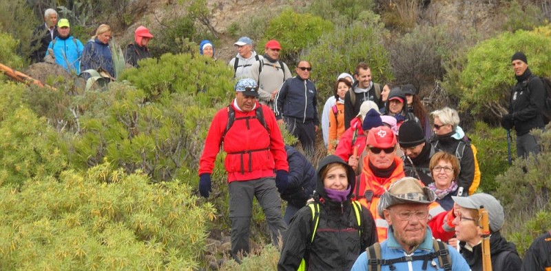 San Bartolom� organiza este s�bado la ruta del Almendro en Flor