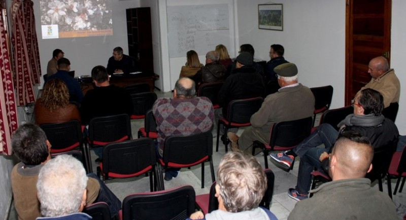 La Mancomunidad de Median�as repartir� 4.700 almendreros 