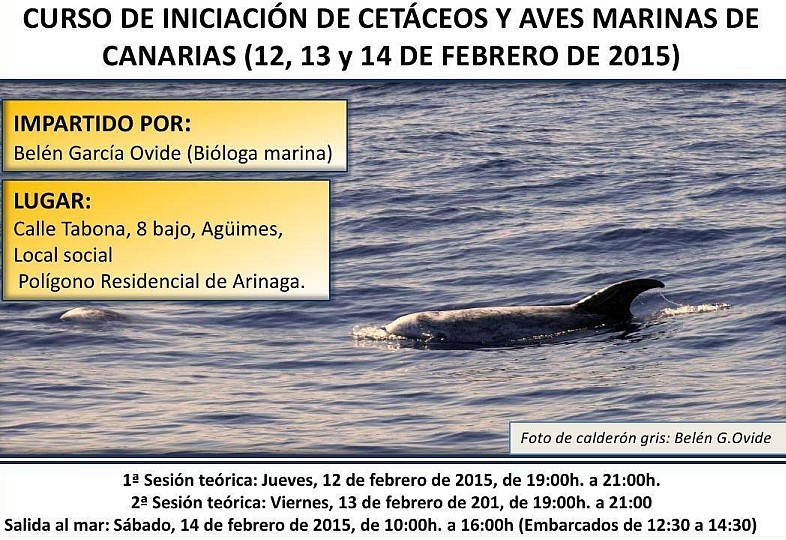 Ag�imes acoge un curso sobre cet�ceos y aves marinas