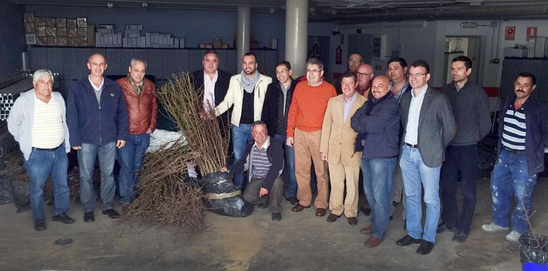 La Mancomunidad de Median�as reparte 2.637 almendros nuevos