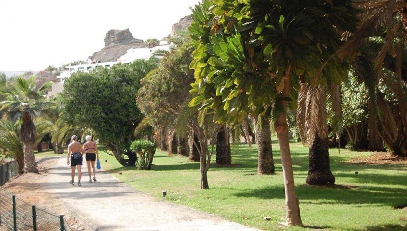 Mog�n renueva los espacios ajardinados de Puerto Rico