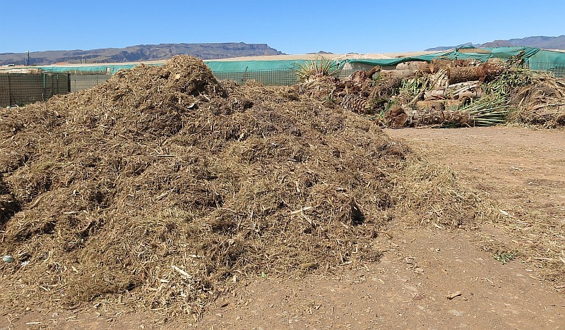Santa Luc�a ofrece gratis a los agricultores 180 toneladas de  abono
