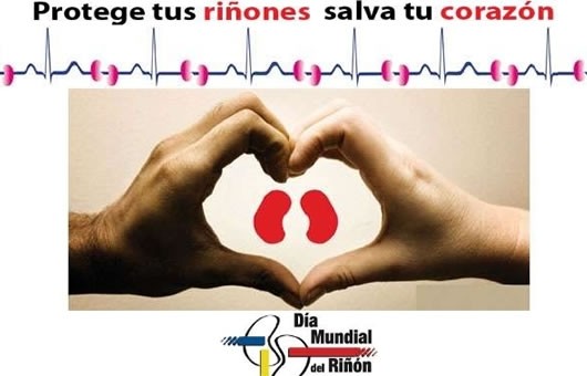 Sanidad recuerda mantener h�bitos saludables para cuidar los ri�ones 