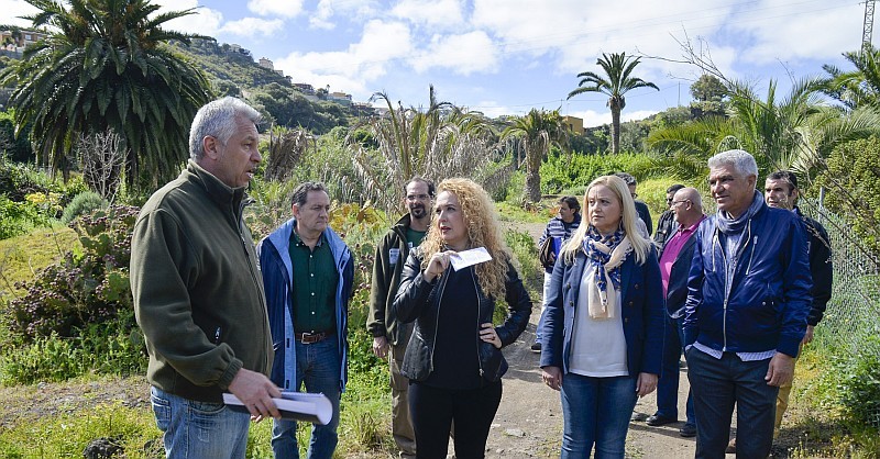  El Cabildo prepara los barrancos de la isla para evitar incendios forestales