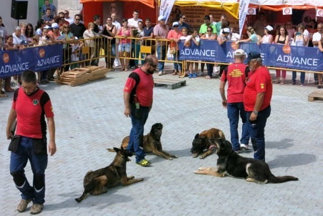 Santa Luc�a celebra la II Feria de Mascotas Responsables 