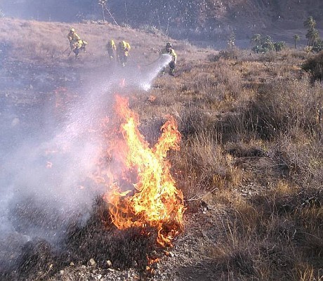 El Cabildo alerta de que los fuegos son intencionados