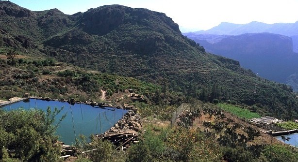 Mog�n apuesta por la reactivaci�n del campo 