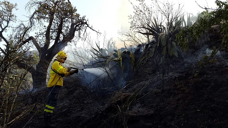 Las radiales y soldar en el campo, primera causa de incendios en Gran Canaria