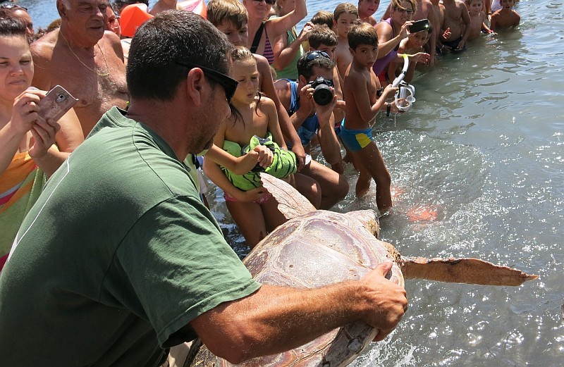 Pozo Izquierdo acoge una nueva edici�n de las jornadas de litoral y medioambiente.