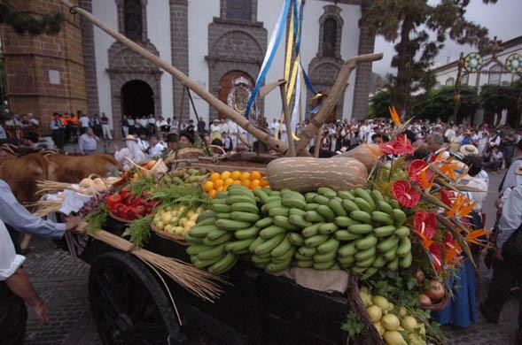 Mog�n prepara su carreta y barquillo para la romer�a de Teror
