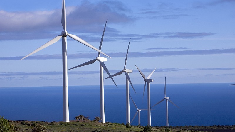 Canarias solicita a Industria ampliar el plazo para acoger toda la potencia e�lica autorizada