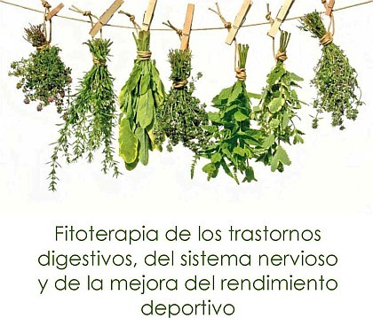 Farmac�uticos de Las Palmas inician una campa�a para promover el uso adecuado de las plantas medicinales 