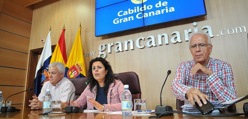 El Cabildo crea la Mesa de Actividades Clasificadas y Espect�culos P�blicos con los 21 municipios de la Isla