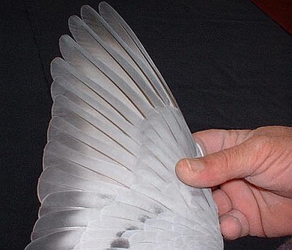 San Bartolom� de Tirajana invita a volar con fotograf�as contra la violencia machista