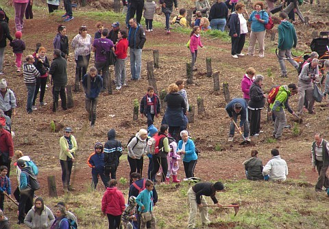 El D�a del �rbol concentra a m�s de 1.200 personas que �plantan cara� a la deforestaci�n 