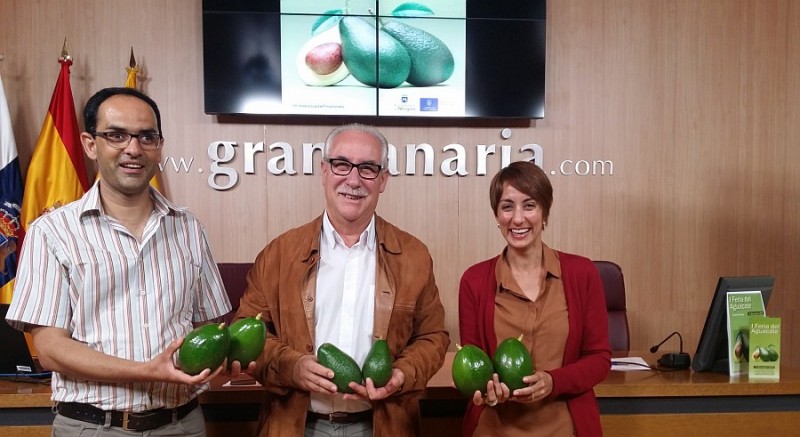 El Cabildo y Mog�n apuestan por incluir el aguacate en la marca Gran Canaria Calidad