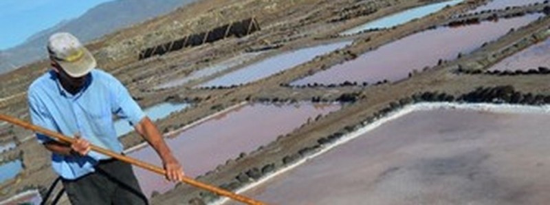 Las salinas de Arinaga foco de investigaci�n internacional para obtener combustible verde