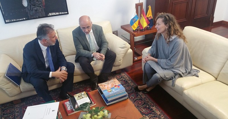 El Cabildo entrega una propuesta de carreteras por 410 millones 